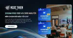 Zoom Pro 100 vs 300 người: Nên chọn gói nào tối ưu?