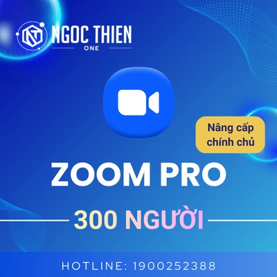 Zoom Pro 300 người là gì?