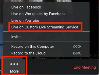 Nhấn vào Live on Custom Live Streaming Service [Phát bằng dịch vụ phát trực tiếp tùy chỉnh].