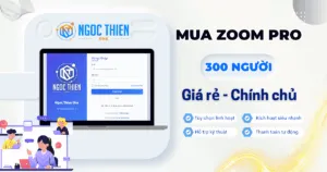 Cách mua Zoom Pro 300 người giá rẻ chính chủ