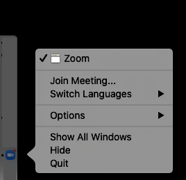 Chọn ngôn ngữ bạn muốn Zoom hiển thị.