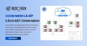 Zoom Mesh là gì? Cách bật Zoom Mesh