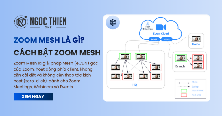 Zoom Mesh là gì? Cách bật Zoom Mesh