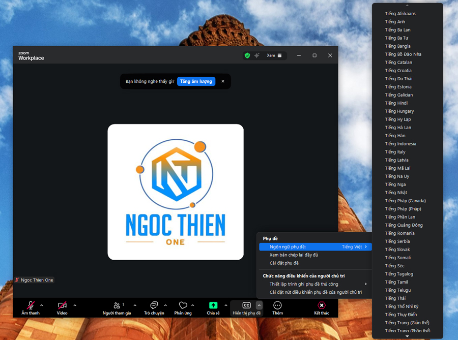 Hướng dẫn cách xem phụ đề trong cuộc họp Zoom